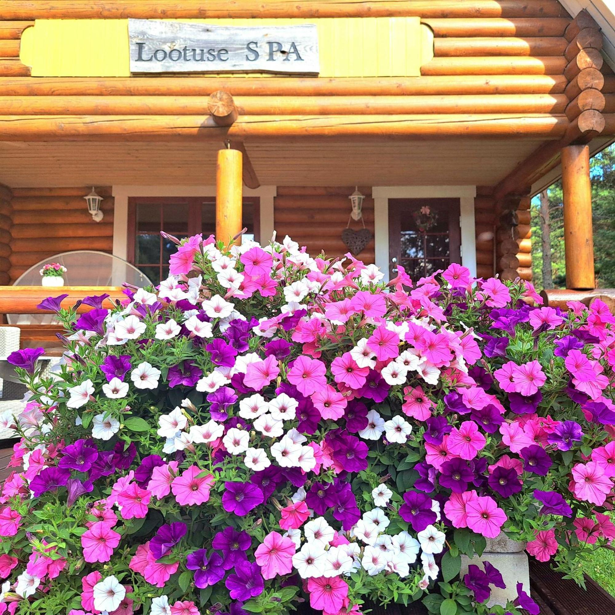 Lootuse Spa Nommemaa Exterior foto